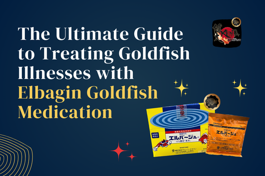 The Ultimate Guide to Treating Goldfish Illnesses with Elbagin Goldfish Medication