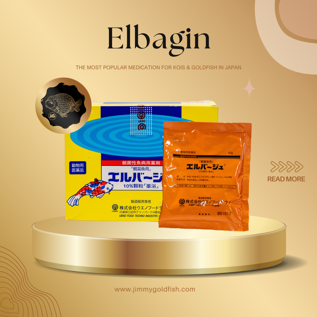 Polvo antibacteriano Elbagin 50 g: cuidado esencial para peces sanos y vibrantes (tetra japonés)