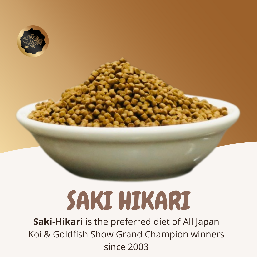 Dieta de crecimiento Saki Hikari de 1,7 a 2 mm (pellet que se hunde) 1 libra