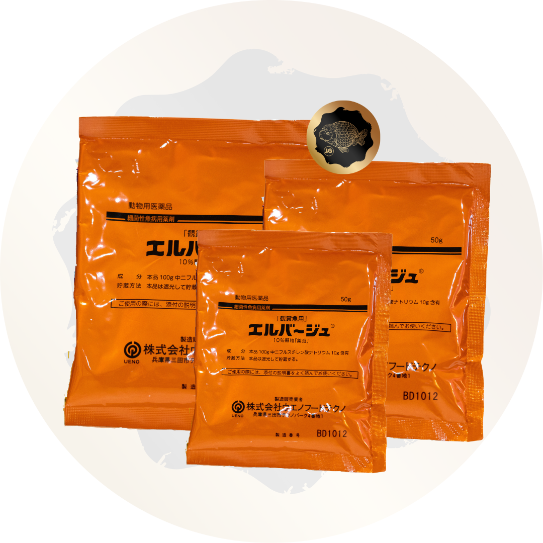 ENVÍO GRATIS Juego de 10 Elbagin en polvo 50 g (polvo amarillo) Tetra japonés