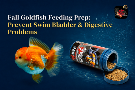 Fall Goldfish Feeding Prep: Help Prevent Swim Bladder & Digestive Problems