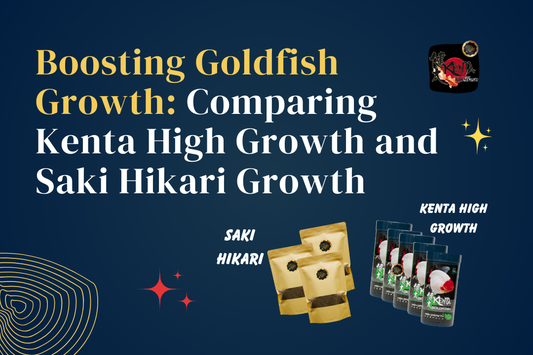 Boosting Goldfish Growth: Comparing Kenta High Growth and Saki Hikari Growth