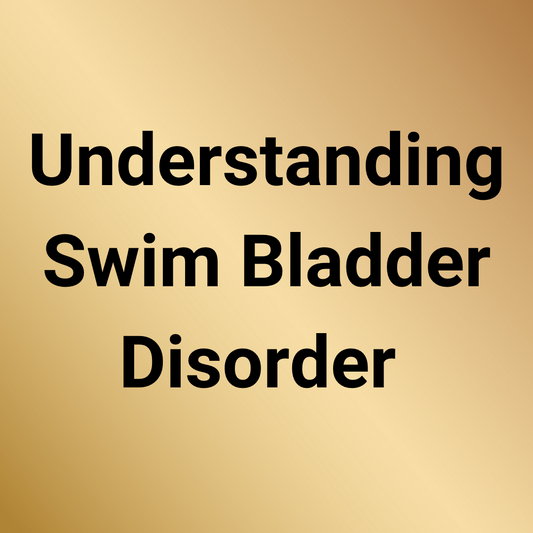 Understanding Swim Bladder Disorder in Goldfish: The 6 Causes