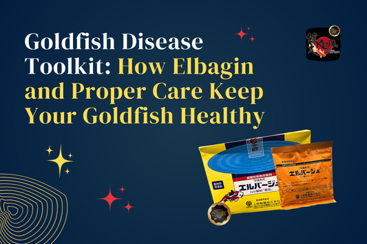 Goldfish Disease Toolkit: How Elbagin and Proper Care Keep Your Goldfish Healthy