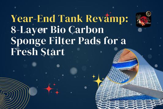 Year-End Tank Revamp: 8-Layer Bio Carbon Sponge Filter Pads for a Fresh Start