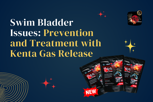 Swim Bladder Issues: Prevention and Treatment with Kenta Gas Release