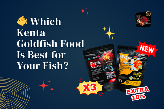 Which Kenta Goldfish Food Is Best for Your Fish?