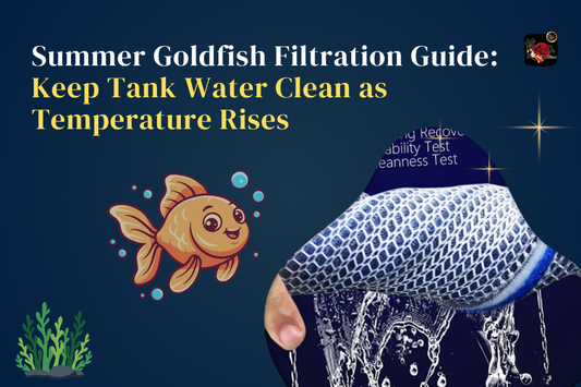 Summer Goldfish Filtration Guide: Keep Tank Water Clean as Temperature Rises