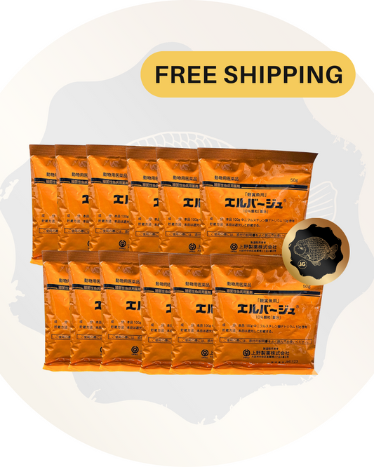 ENVÍO GRATIS Juego de 10 Elbagin en polvo 50 g (polvo amarillo) Tetra japonés