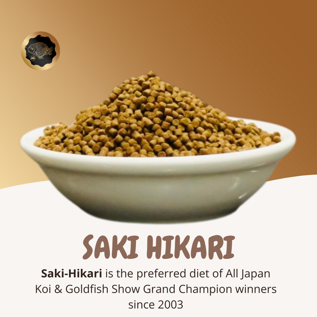 Dieta de crecimiento Saki Hikari de 1,7 a 2 mm (pellet que se hunde) 1 libra