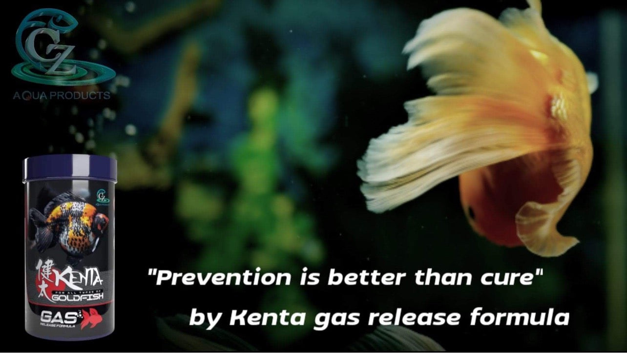 Kenta Release Gas 150g, 1.5mm sinking pellets