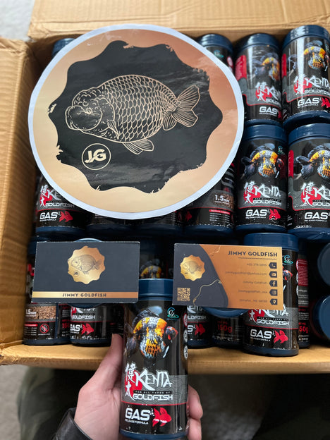 Kenta Release Gas 150 g, balines de hundimiento de 1,5 mm