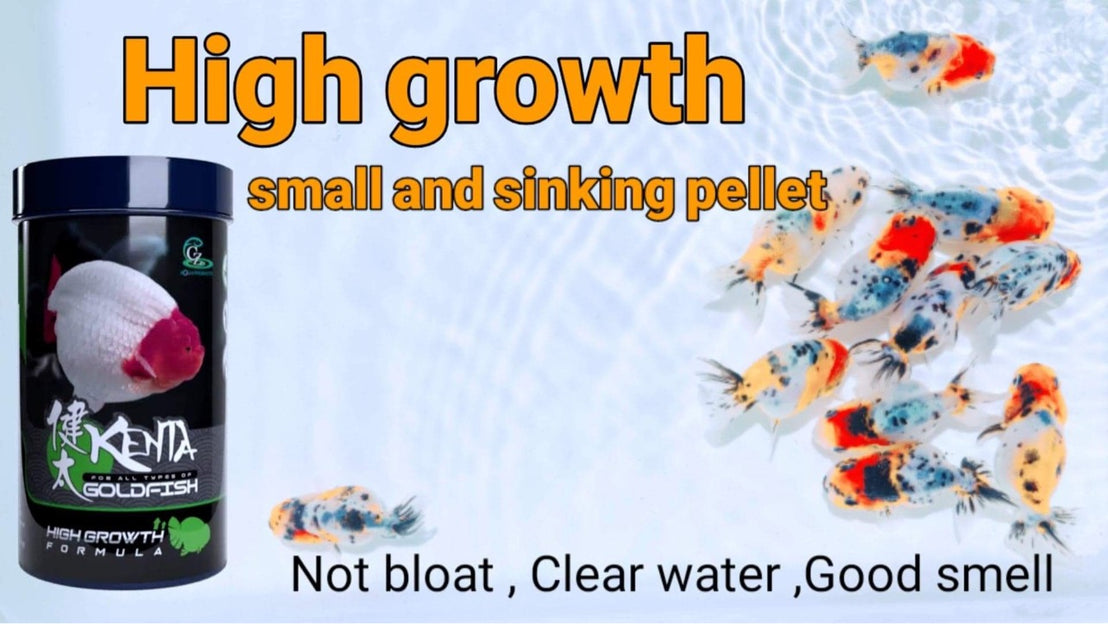Kenta High Growth 180 g, pellets de hundimiento de 1 mm